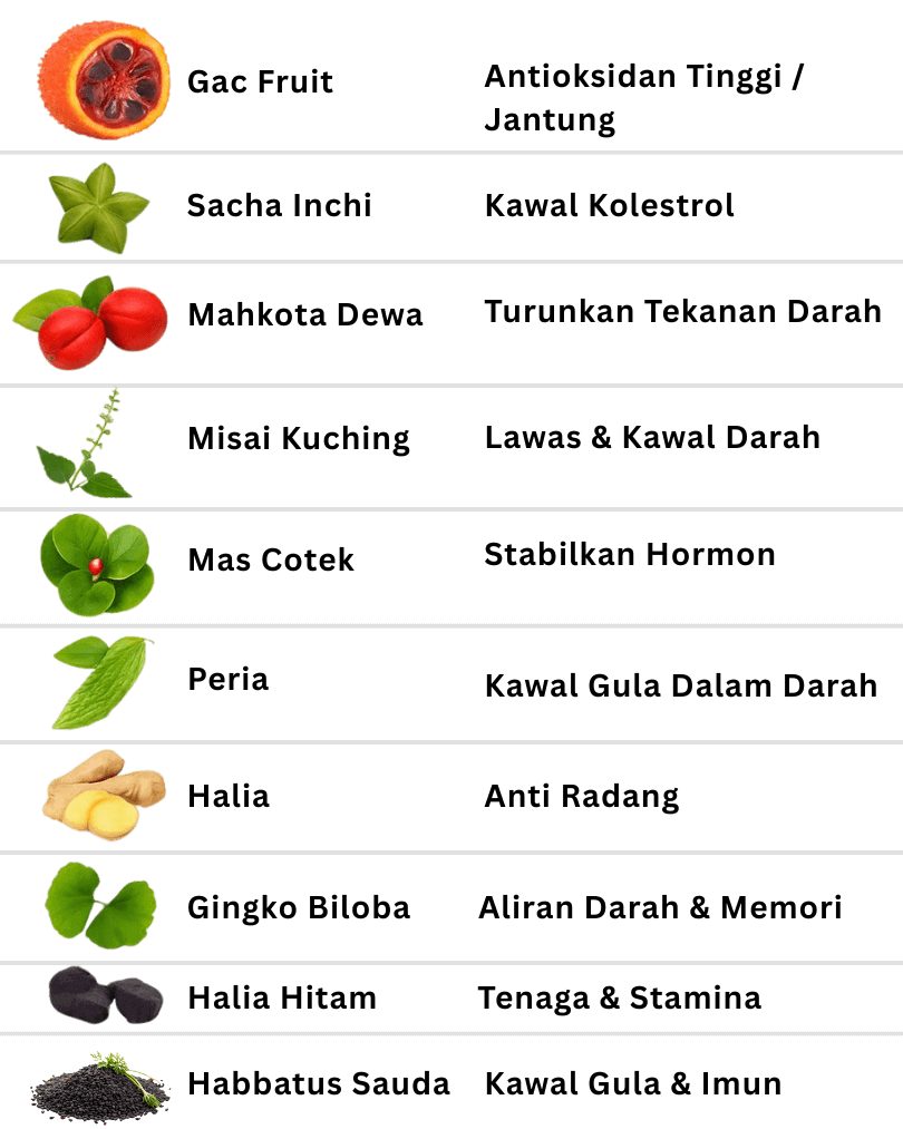 https://nutrigachq.com/