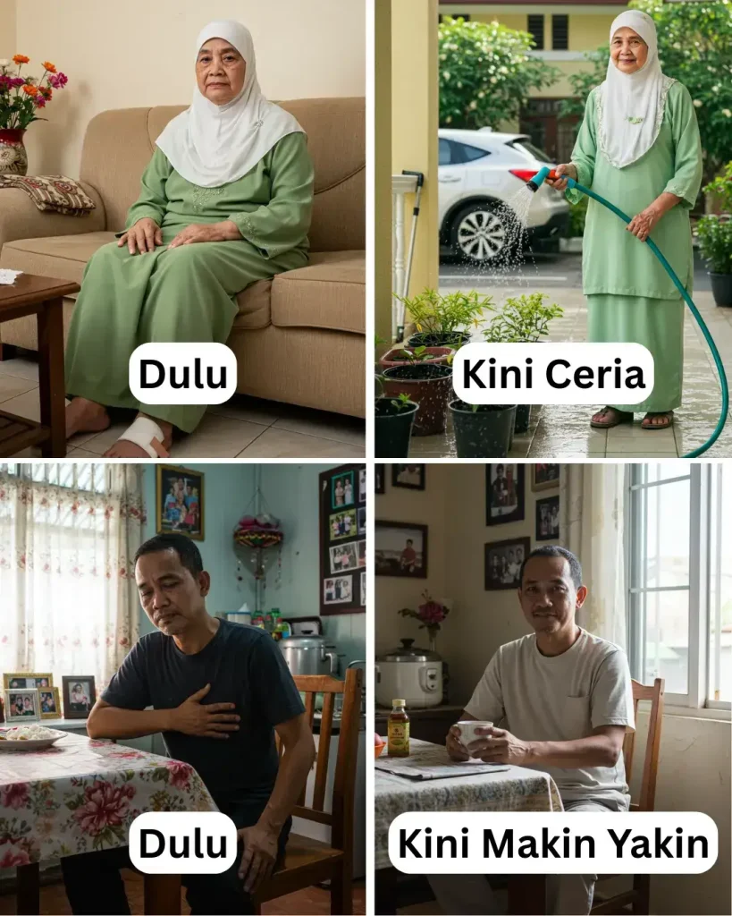 https://nutrigachq.com/