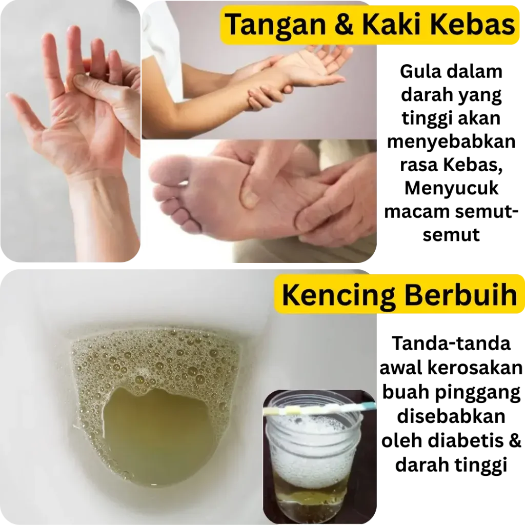 https://nutrigachq.com/